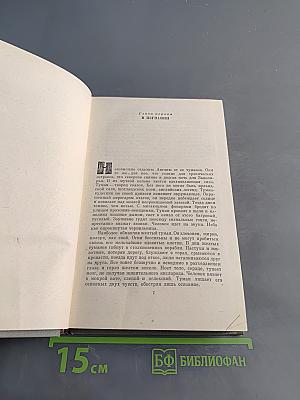 Прометей. Похищение огня. Книга вторая
