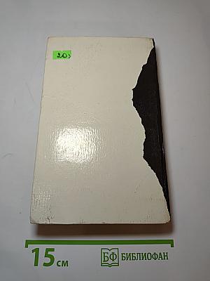 Мужчина в бегах (сборник)