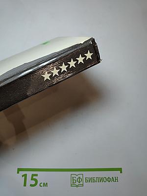 Мужчина в бегах (сборник)