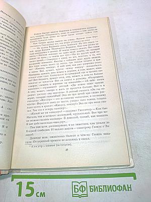 Цветы тянутся к солнцу