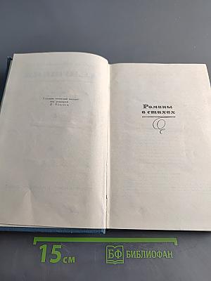 Собрание сочинений в стихах и в прозе. Том 4