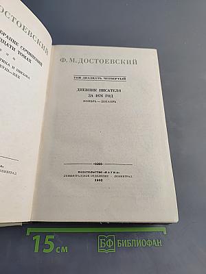 Дневник писателя за 1876 год. Ноябрь-декабрь