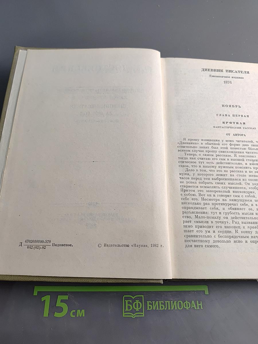 Дневник писателя за 1876 год. Ноябрь-декабрь