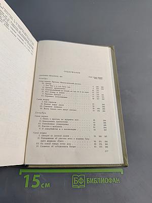Дневник писателя за 1876 год. Ноябрь-декабрь