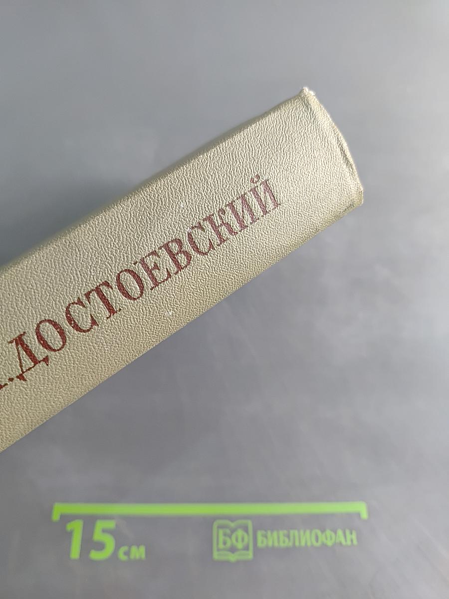 Дневник писателя за 1876 год. Ноябрь-декабрь