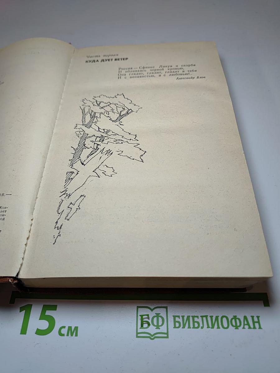 Андреевский кавалер. Книга первая