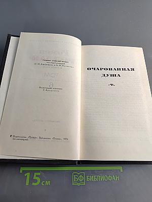 Очарованная душа. Том 6
