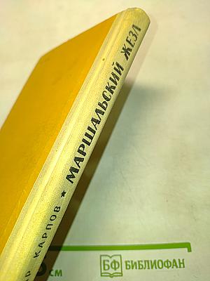 Маршальский жезл. Записки рядового Виктора Агеева