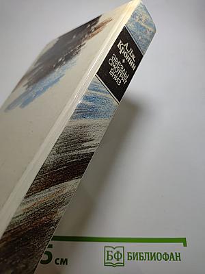 Звезды смотрят вниз