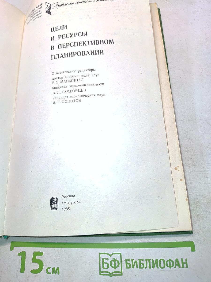 Цели и ресурсы в перспективном планировании