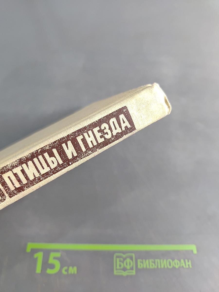 Птицы и гнезда