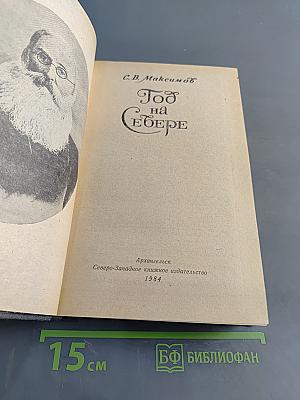 Год на Севере