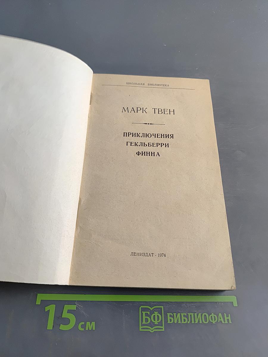 Приключения Гекльберри Финна