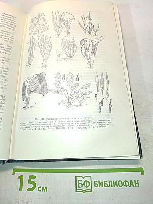 Аквариумное рыбоводство