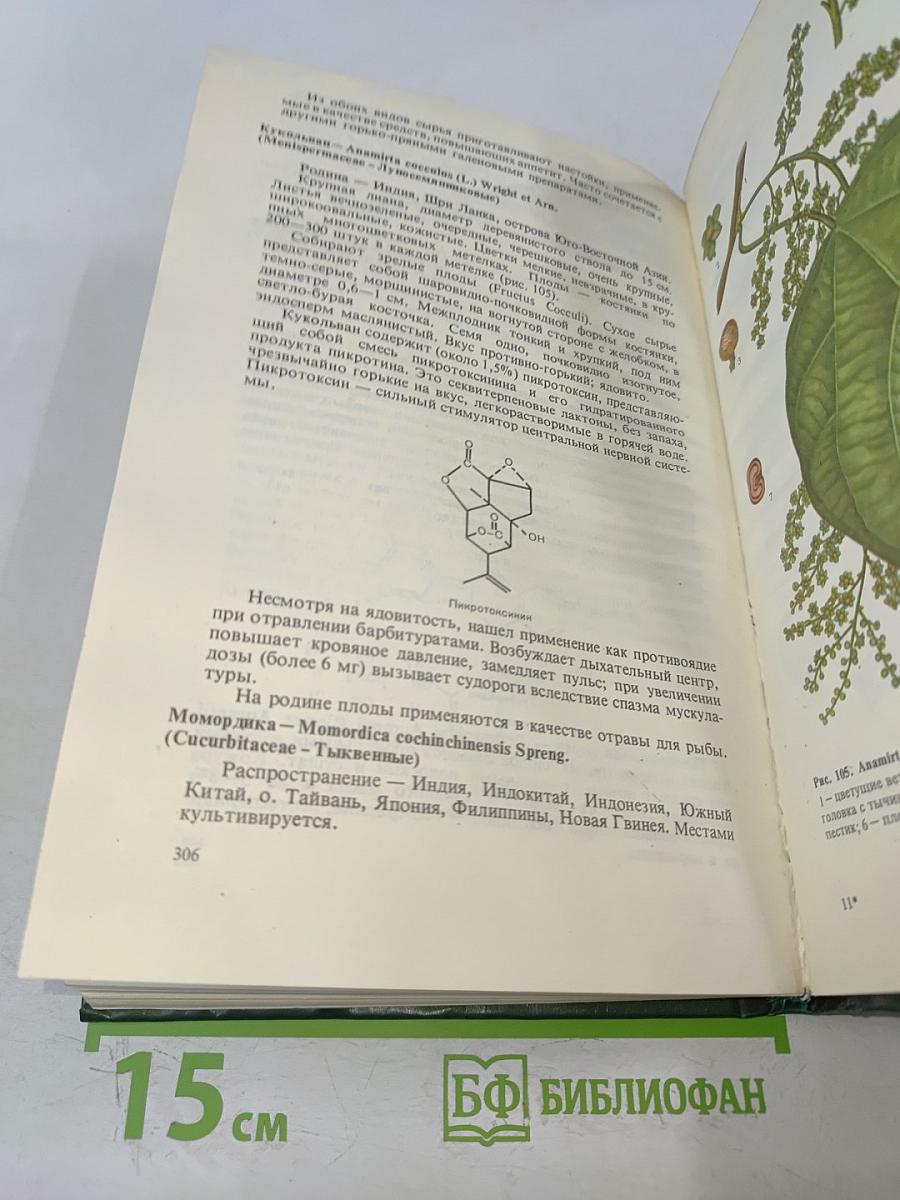 Тропические и субтропические лекарственные растения