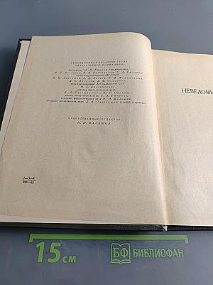 Неведомый шедевр. Поиски абсолюта