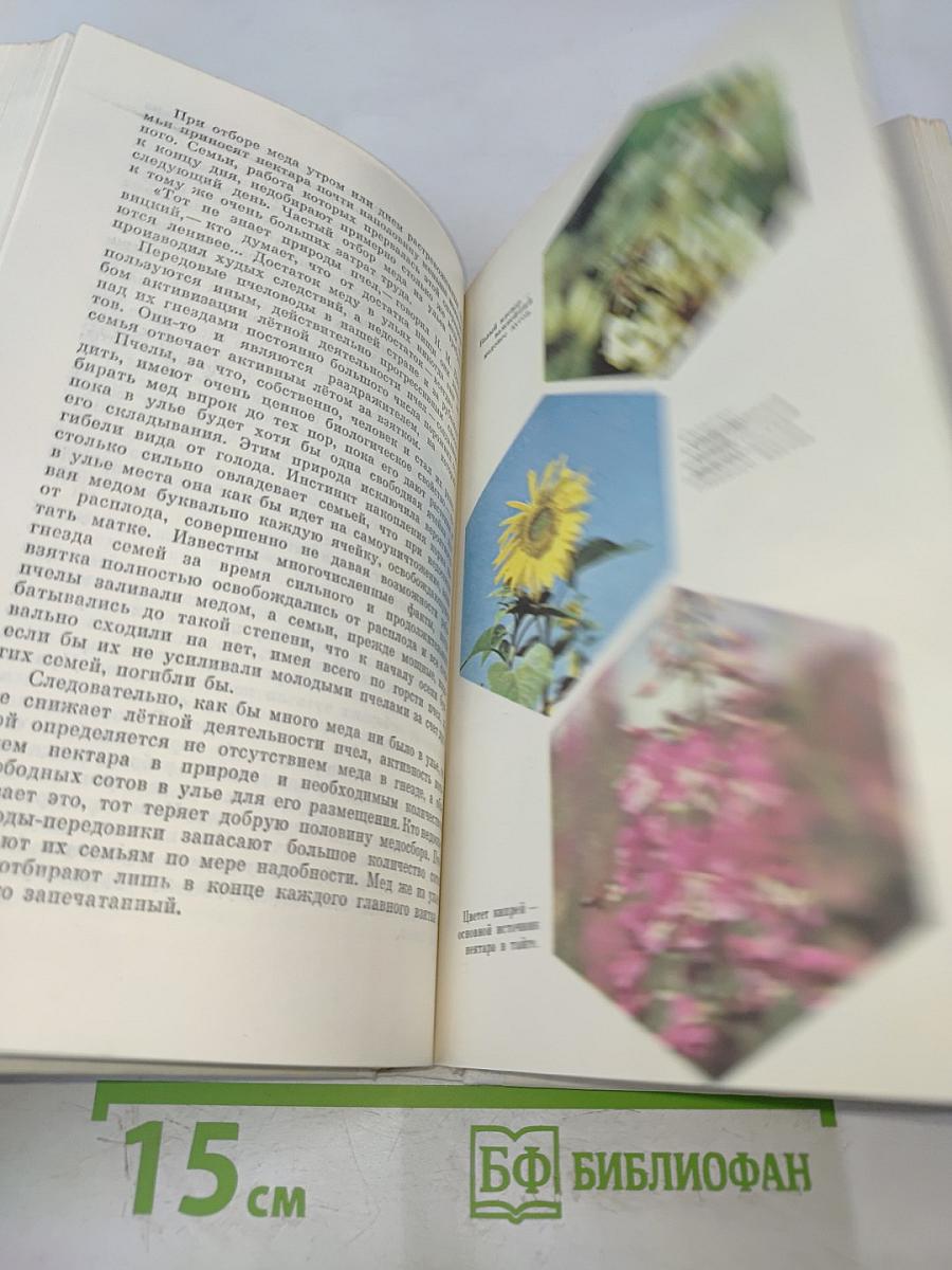 Если вы имеете пчел