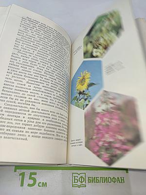Если вы имеете пчел