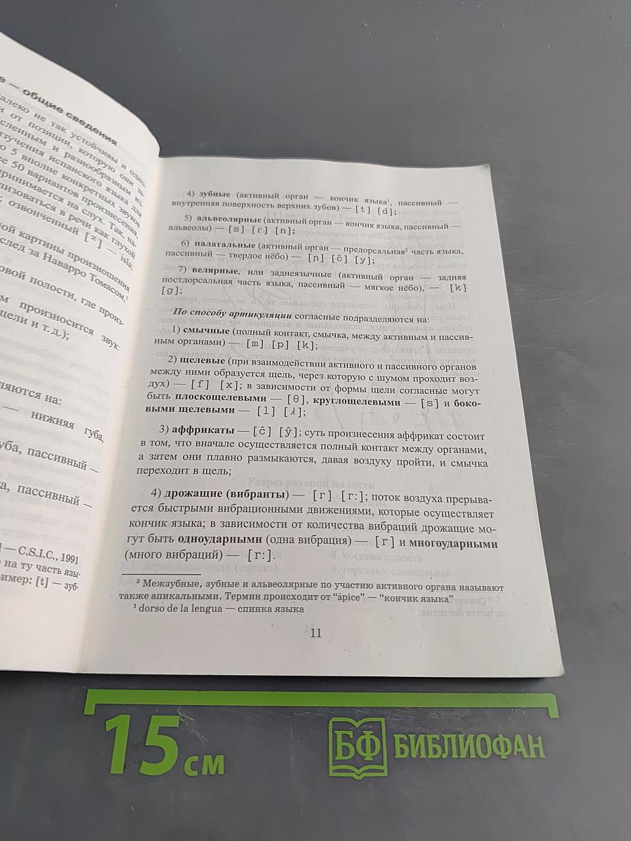 Фонетика испанского языка. Вводный курс