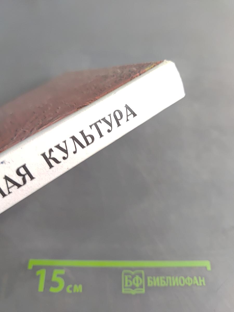 Мировая художественная культура. Возрождение. Часть II, книга 2