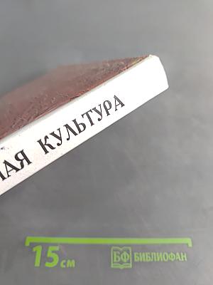 Мировая художественная культура. Возрождение. Часть II, книга 2