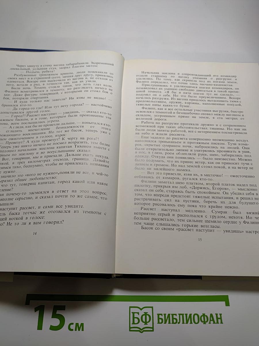 Орлы над Хинганом