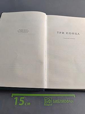 Три конца. Охонины брови
