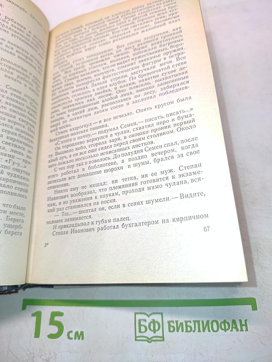 Комендант Зелёного переулка