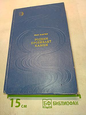 Родник пробивает камни