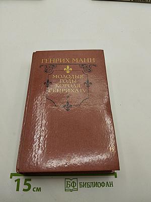 Молодые годы короля Генриха IV