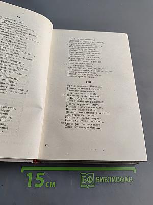 Стихотворения 1863–1877. Том III