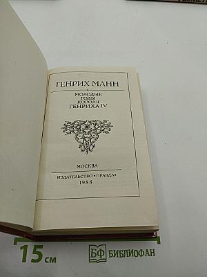 Молодые годы короля Генриха IV