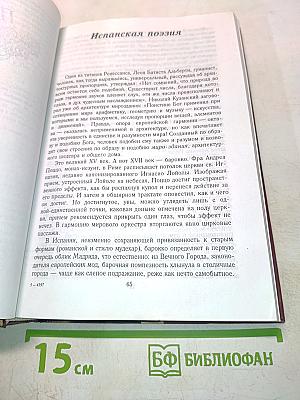 История зарубежной литературы. XVII век