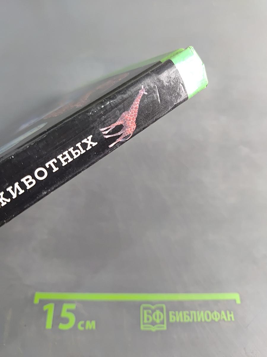 1000 вопросов о жизни животных