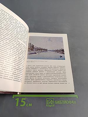 Современное изобразительное искусство Ирака (1900-е - 1970-е годы)