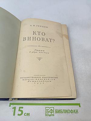 Кто виноват?