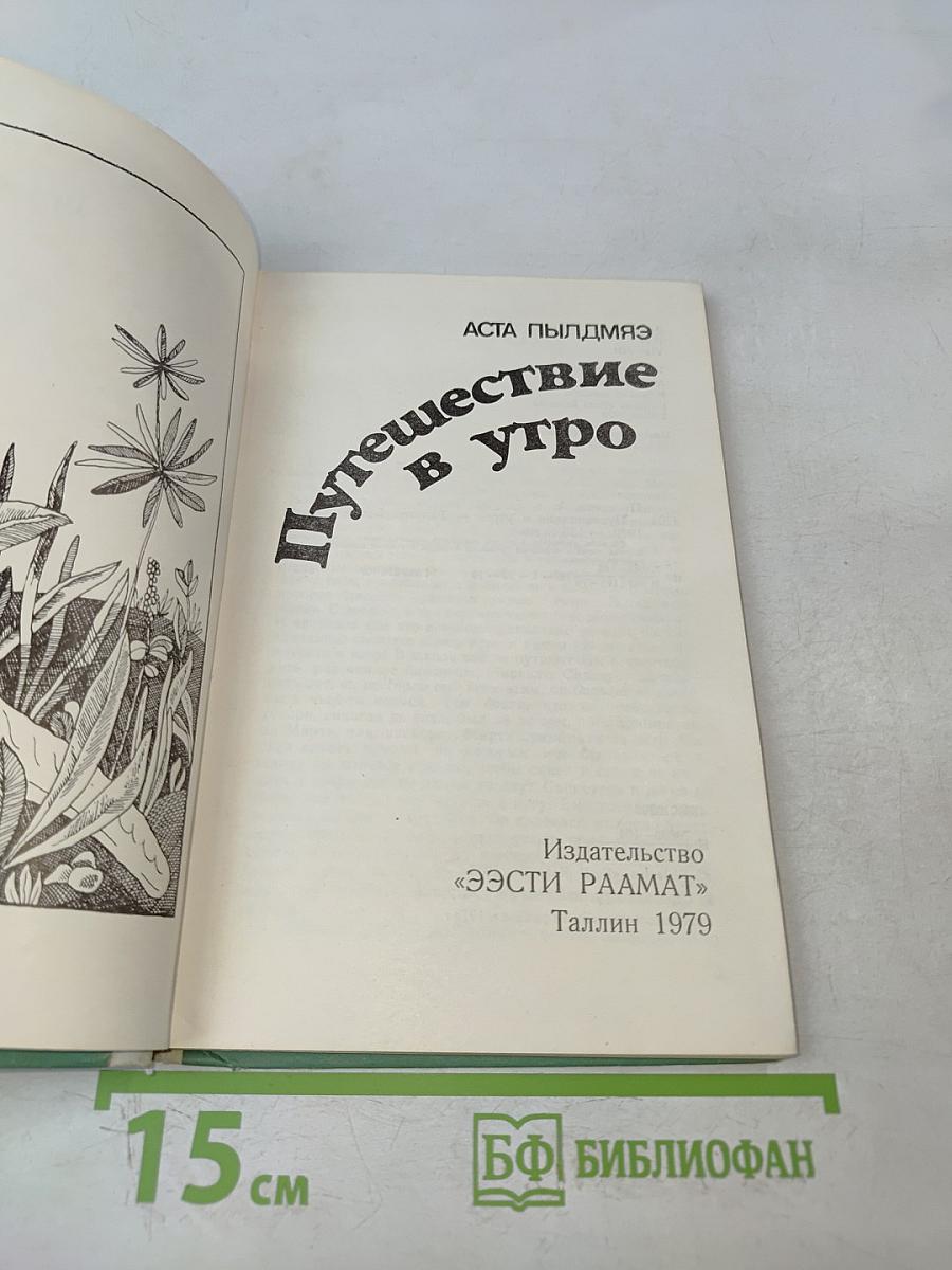 Путешествие в утро