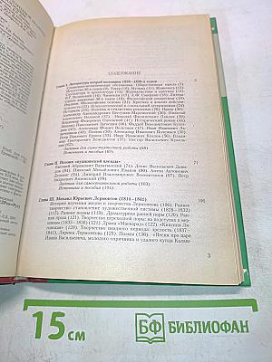 История русской литературы XIX века. 1800-1830-е годы. Часть 2