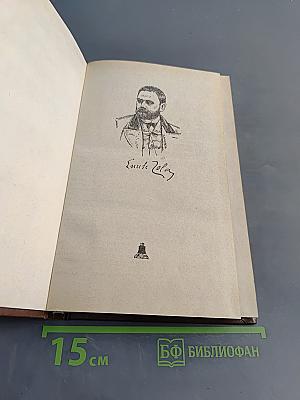 Нана. Собрание сочинений в 20 томах. Том 8