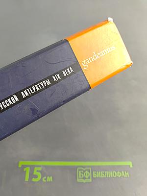 История русской литературы XIX века
