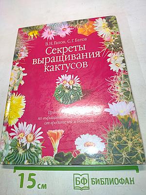 Секреты выращивания кактусов