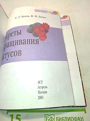 Секреты выращивания кактусов