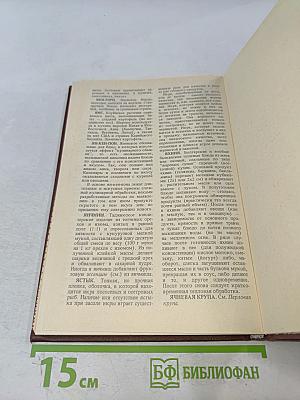О кулинарии от А до Я. Словарь-справочник