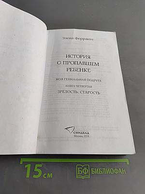 История о пропавшем ребенке. Моя гениальная подруга. Книга четвертая
