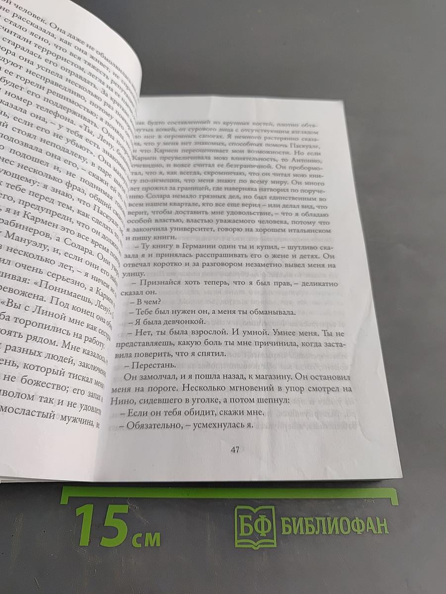 История о пропавшем ребенке. Моя гениальная подруга. Книга четвертая