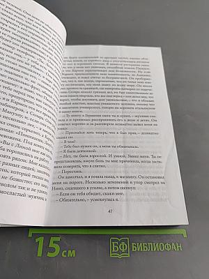 История о пропавшем ребенке. Моя гениальная подруга. Книга четвертая