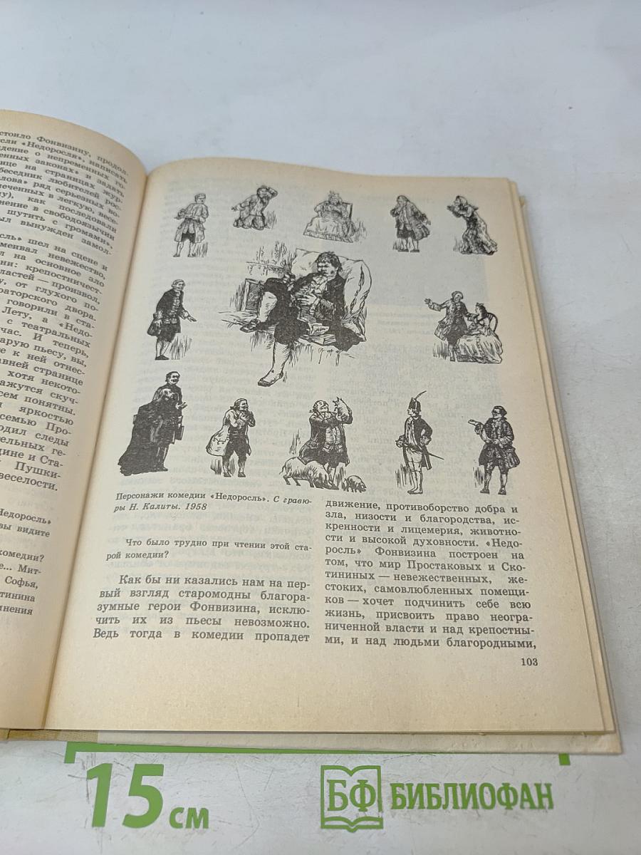 Литература 9 класс