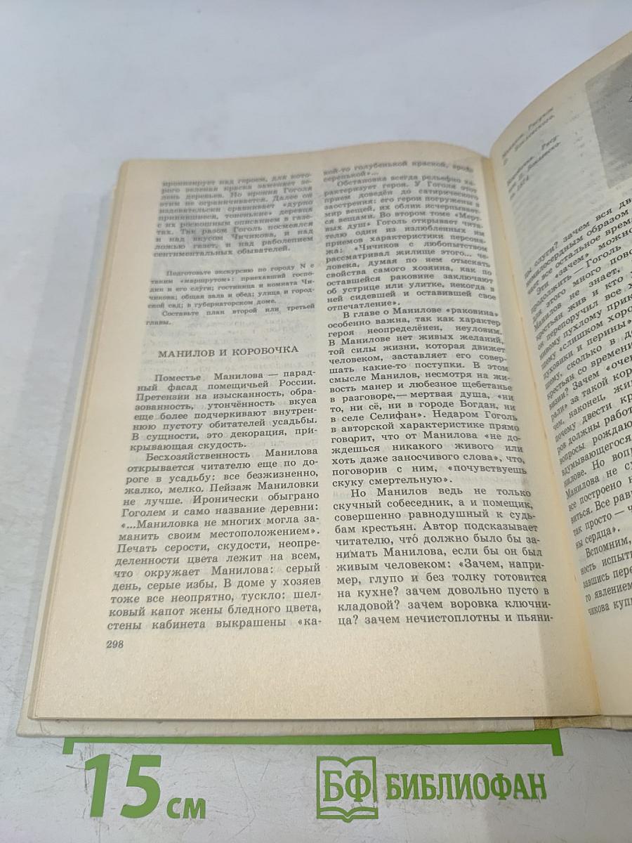 Литература 9 класс