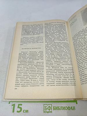 Литература 9 класс