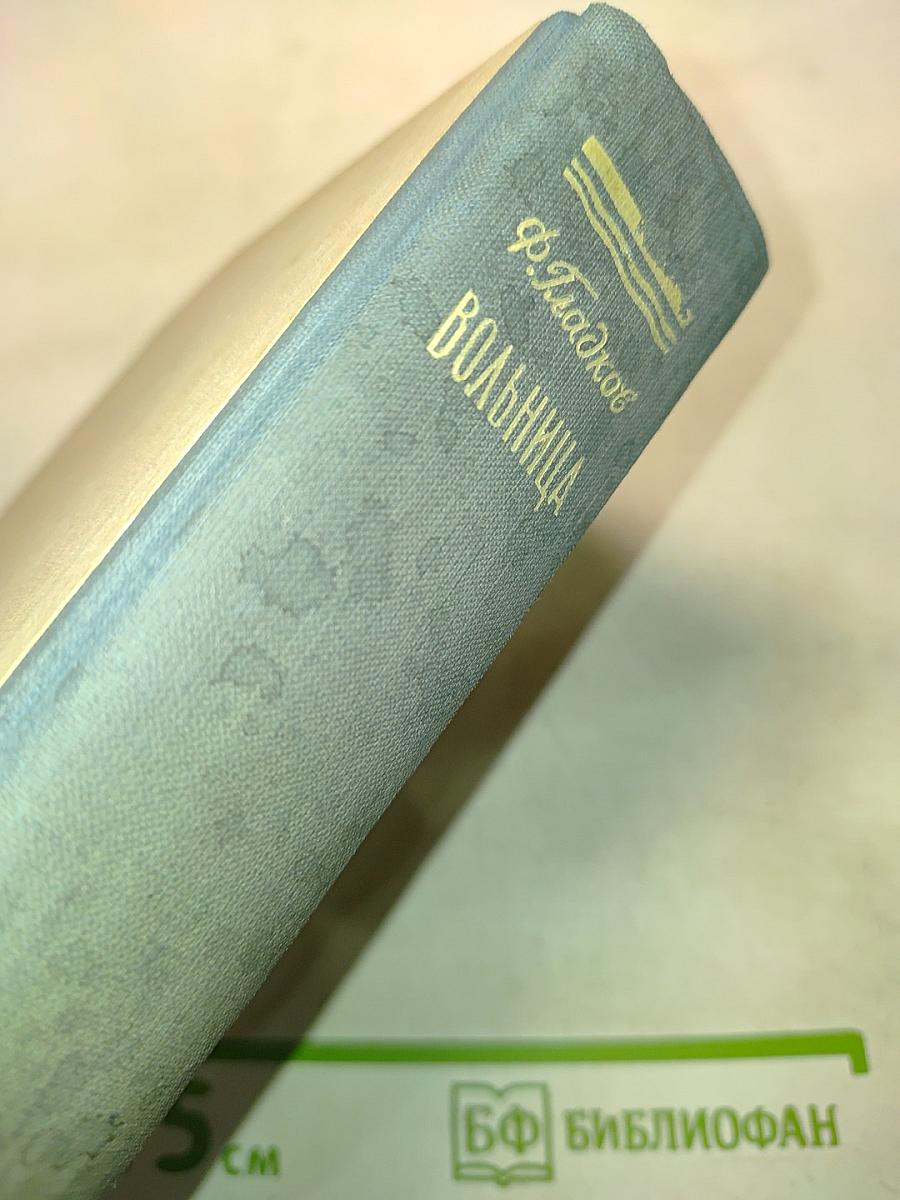 Вольница